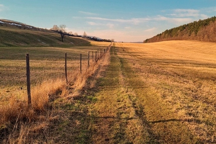 1 ha Ackerland zwischen Wernigerode und Darlingerode - Grundstück Darlingerode Darlingerode | Angebot:26279070