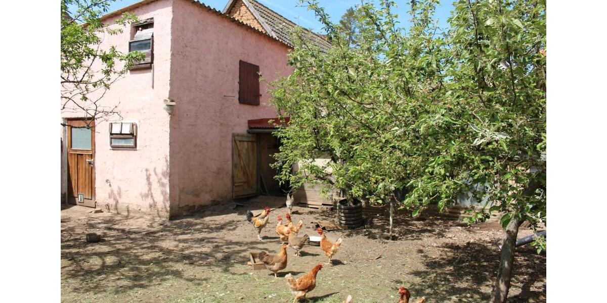 Einfamilienhaus Bad Frankenhausen/Kyffhäuser Kyffhäuser - 4 Zimmer, 120 m&sup2;, 145.000&euro; | Angebot:26026091