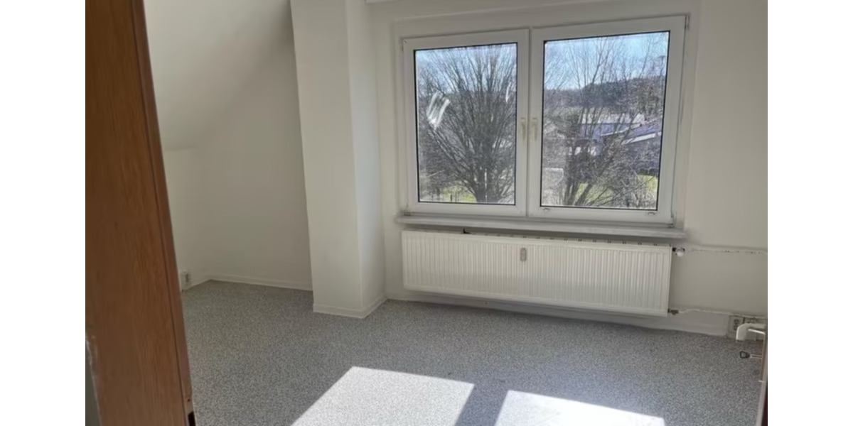 Helle 1-Zimmer-Wohnung (Suckow) 1 zimmer