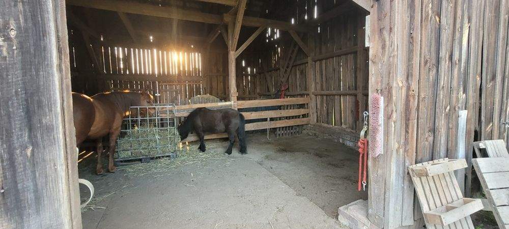 Doppelhaushälfte Tauche / Falkenberg Falkenberg - 4 Zimmer, 90 m&sup2;, 149.000&euro; | Angebot:22933253