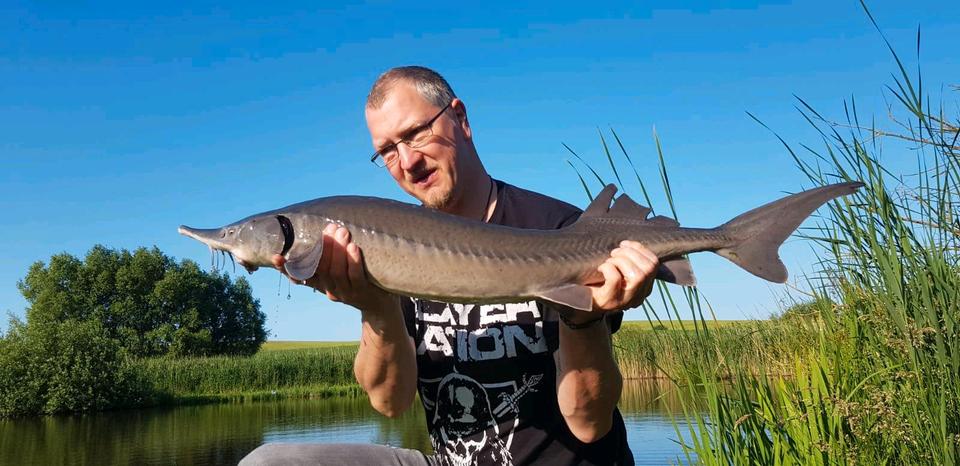 Ferienimmobilie Dortmund Gartenstadt - 75&euro; | Angebot:25990285