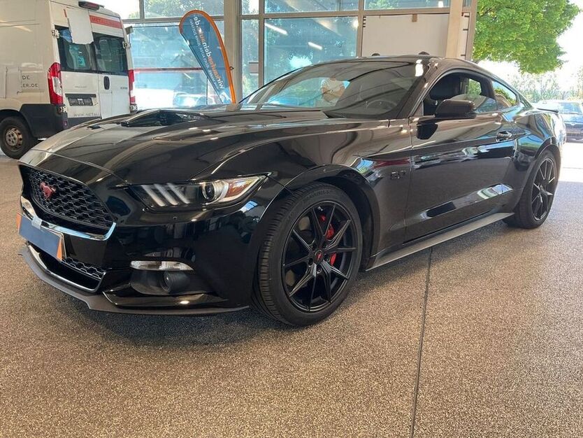 Mustang