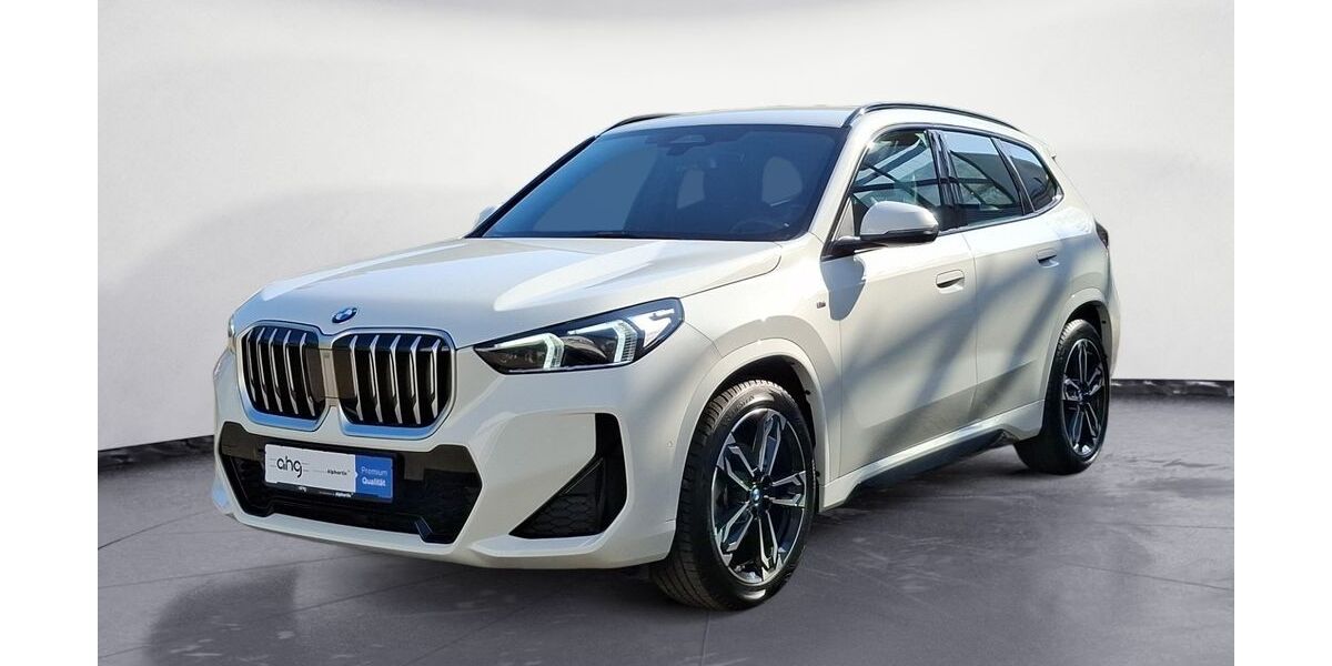 BMW X1 13.986 km 44.760 &euro; Achern 77855