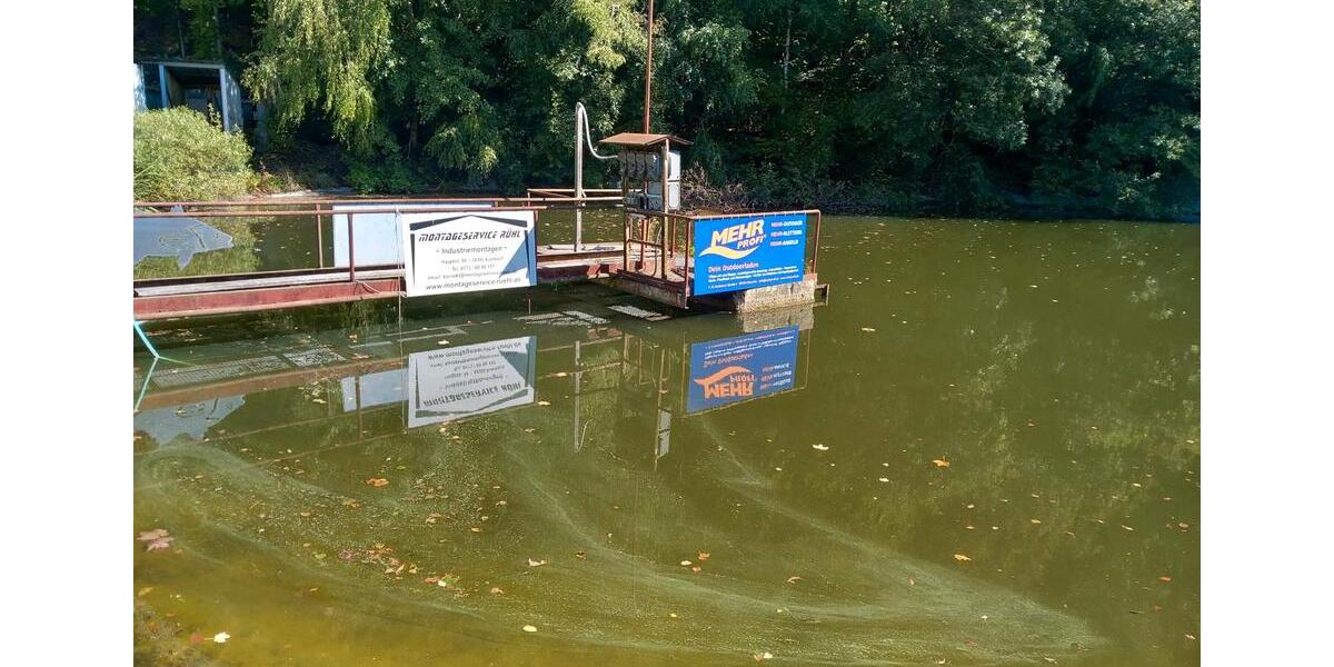 Gewerbeobjekt Gornsdorf - 30&euro; | Angebot:11165397