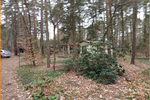 Bauland in Randlage - HURRA HIER bauen wir * Haus incl. Architekt, Bodenarbeiten, Fundamentplatte