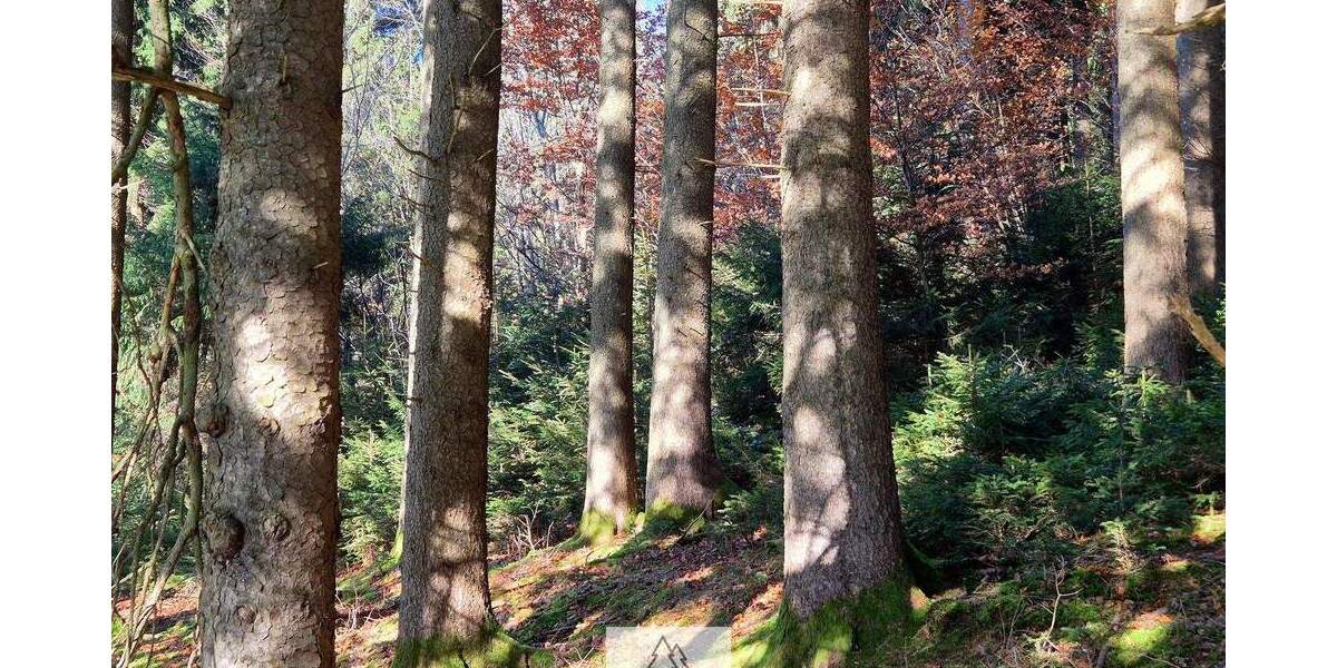 Grundstück Eggenthal Völken - 84.900&euro; | Angebot:25689866