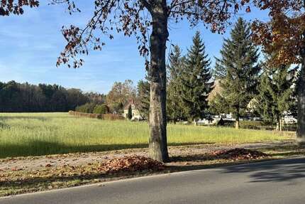 Grundstück Groß Düben - 33.500&euro; | Angebot:19683604