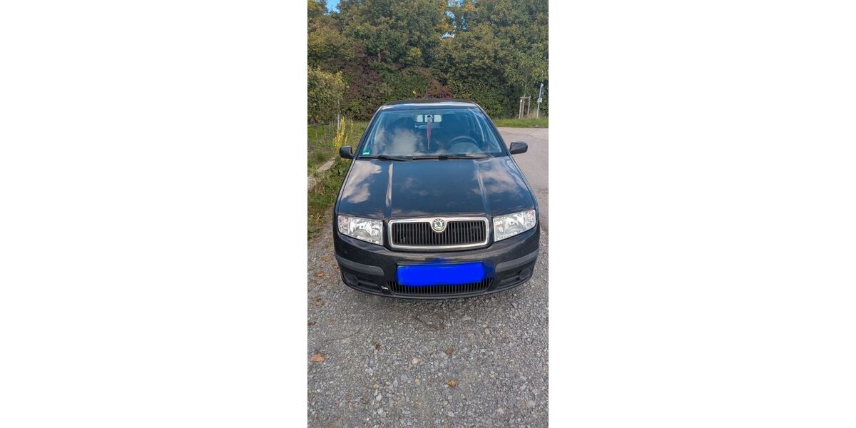 Skoda Fabia 293.624 km 1.000 &euro; Lauffen am Neckar 74348