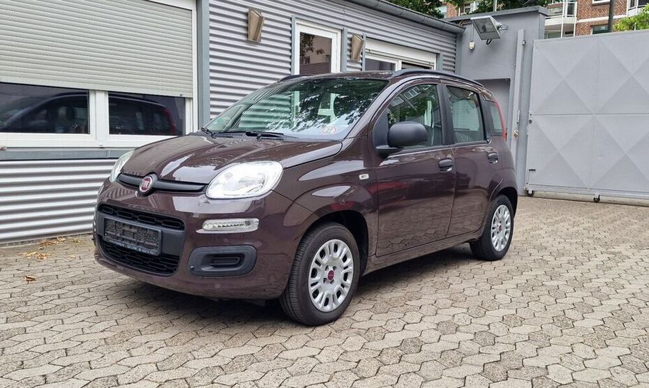 Panda