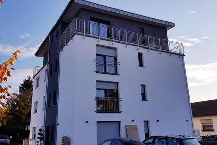 Sonnendurchflutete Ein Zimmer-Wohnung 1 zimmer