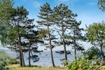 Villa Glücksburg (Ostsee) - 4 Zimmer, 185 m&sup2;, 668.331&euro; | Angebot:26603952