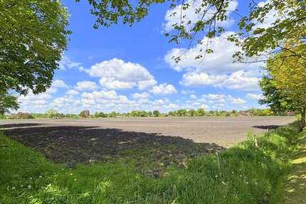 Grundstück in Bad Zwischenahn 309.552 € 51592 m² zimmer