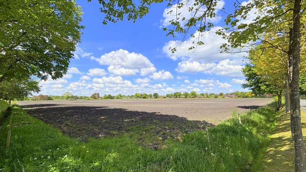 Grundstück in Bad Zwischenahn 309.552 € 51592 m² zimmer