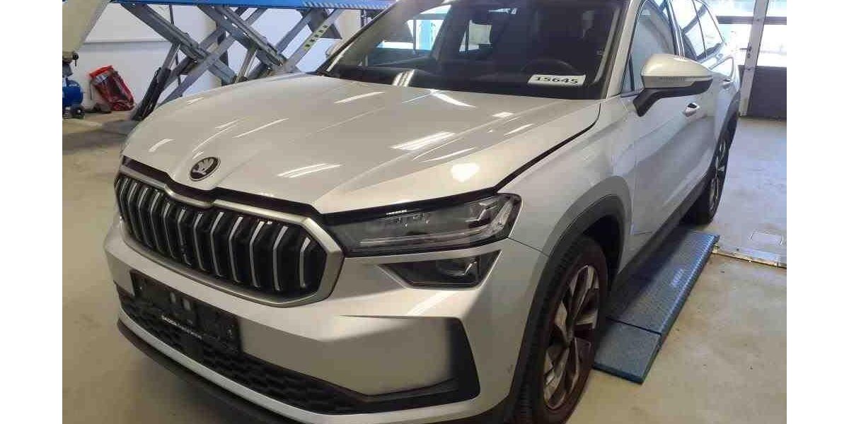 Skoda Kodiaq 26.000 km 48.888 &euro; Darmstadt 64293