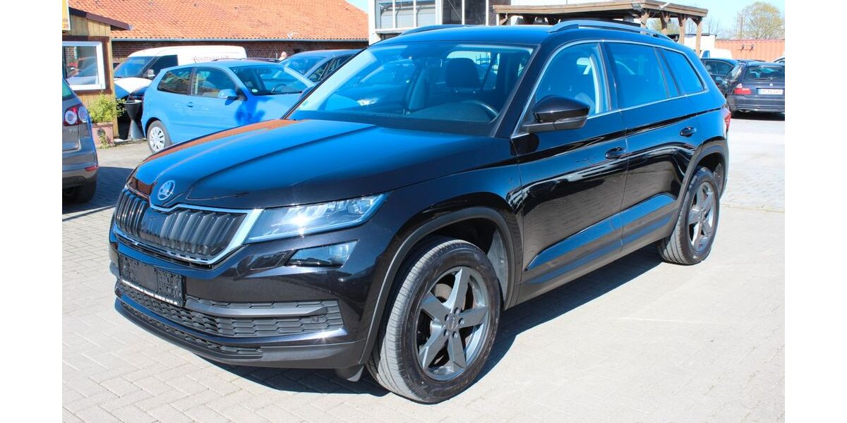 Skoda Kodiaq 156.201 km 16.490 &euro; Neustadt am Rübenberge 31535