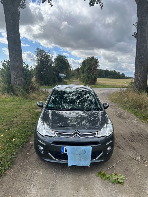 C3