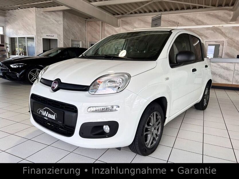 Panda