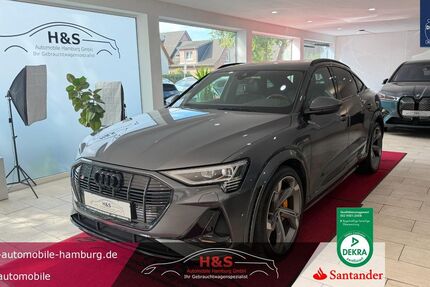 Audi e-tron 122.122 km 38.400 &euro; Pinneberg 25421