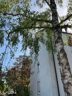 Etagenwohnung Augsburg Haunstetten-Siebenbrunn - 3 Zimmer, 70 m&sup2;, 285.000&euro; | Angebot:27116900