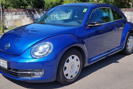 VW Beetle