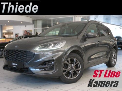 Kuga