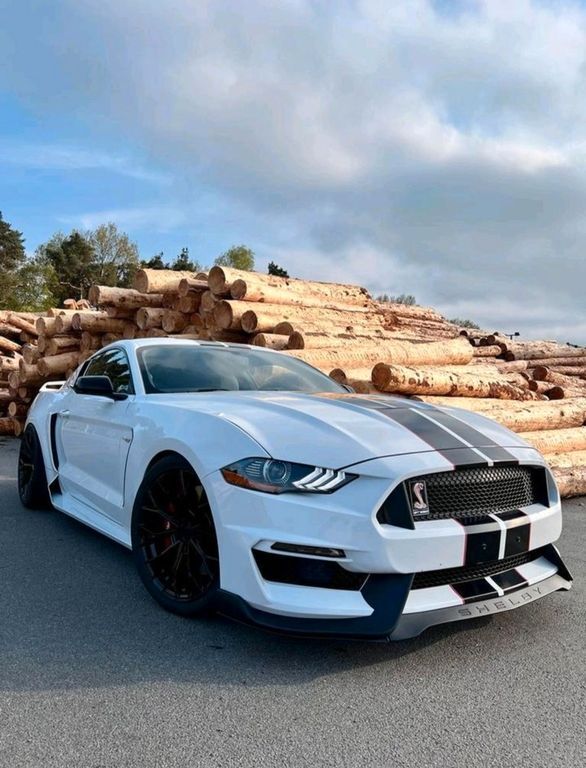 Mustang