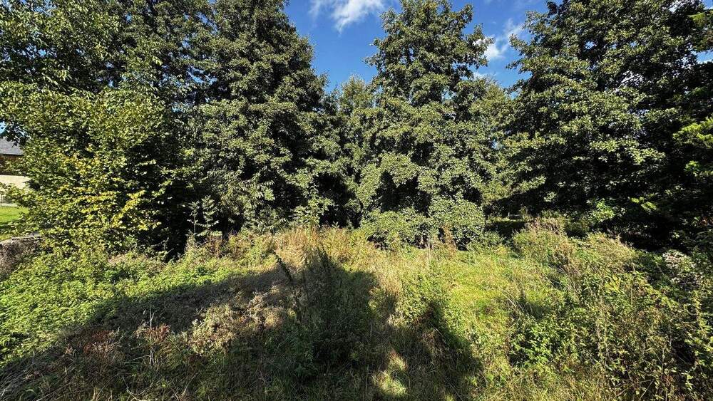 Grundstück Claußnitz Röllingshain - 39.900&euro; | Angebot:25690446