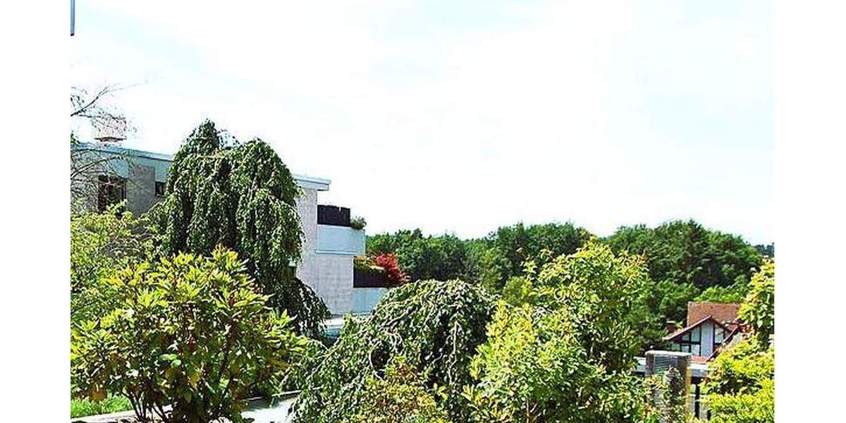 Terrassenwohnung Dreieich Dreieichenhain - 2 Zimmer, 118 m&sup2;, 449.000&euro; | Angebot:25782945