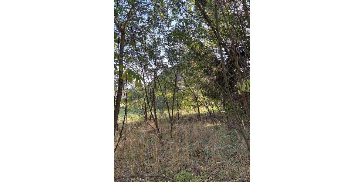 Grundstück Planebruch Oberjünne - 125.000&euro; | Angebot:25770013