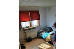 Einfamilienhaus Ahorn - 4 Zimmer, 103 m&sup2;, 600&euro; | Angebot:26579611