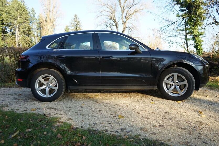 Macan