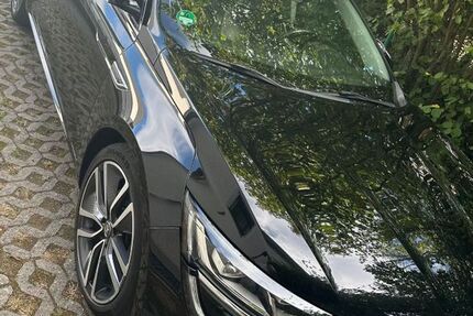 Renault Talisman 160.000 km 15.000 &euro; Seeheim-Jugenheim 64342