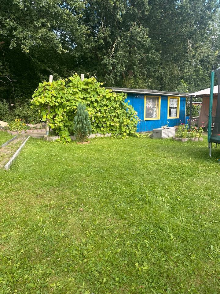 Schrebergarten