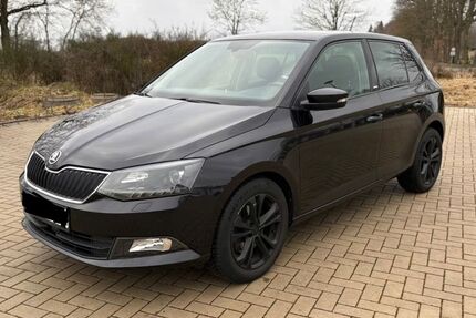 Skoda Fabia 134.000 km 8.990 &euro; Jembke 38477