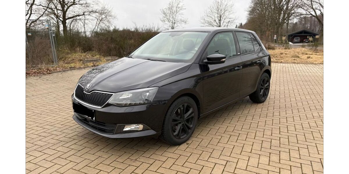 Skoda Fabia 134.000 km 8.990 &euro; Jembke 38477