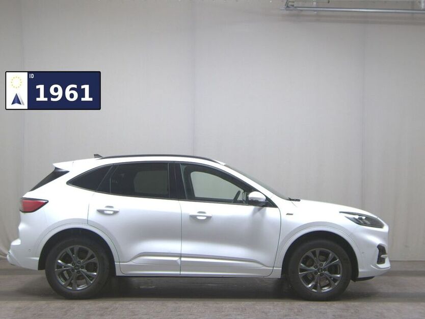 Kuga