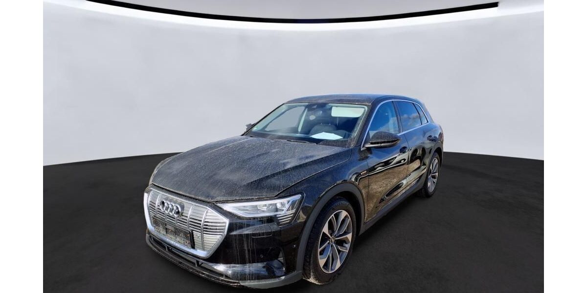 Audi e-tron 49.999 km 25.835 &euro; Hagen 58091