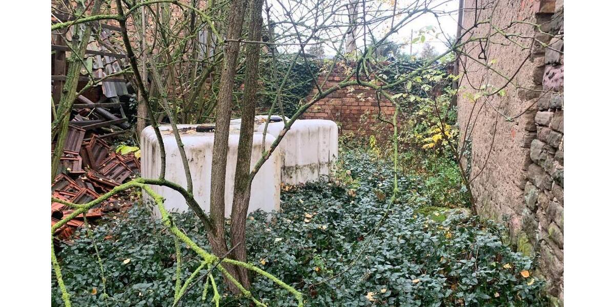 Wallhausen, EFH - Einfamilienhaus Wallhausen | Angebot:5717807