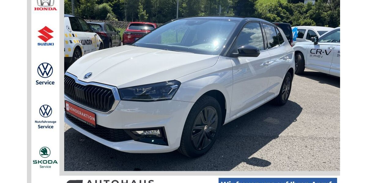 Skoda Fabia 9.450 km 19.990 &euro; Oberndorf 78727