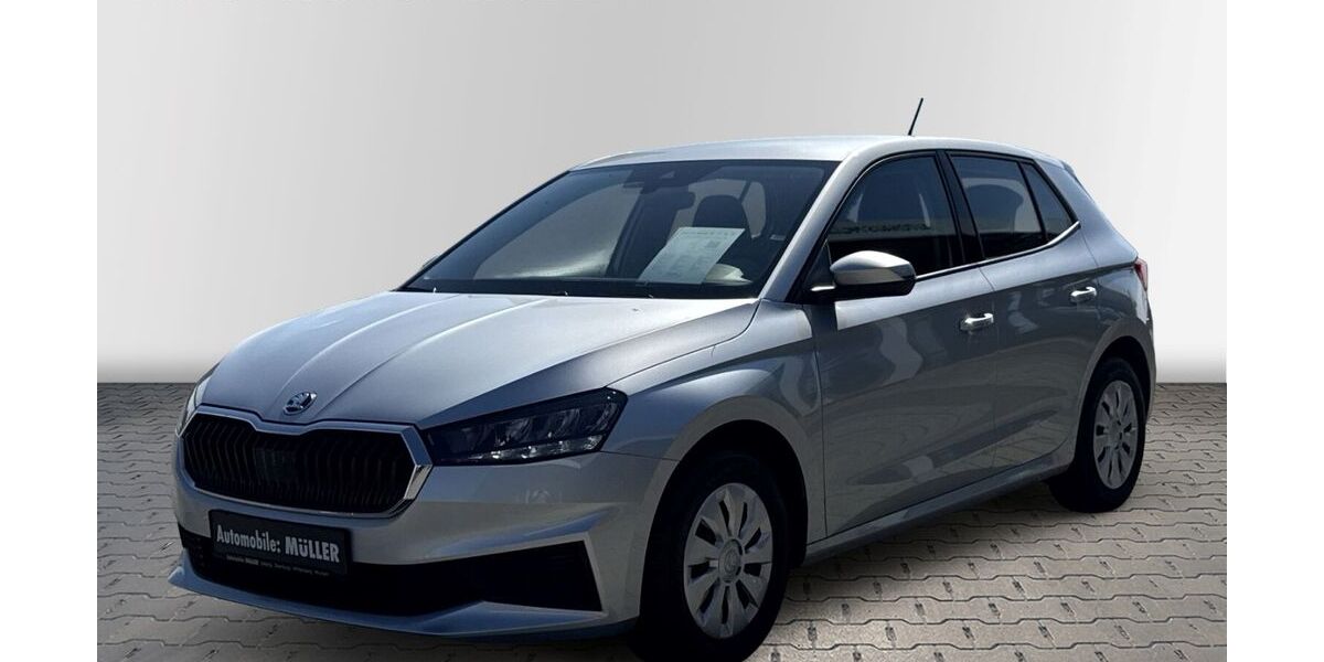 Skoda Fabia 65.087 km 12.990 &euro; Wurzen 04808