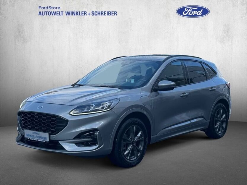 Kuga
