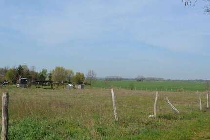 Grundstück Podelzig - 78.000&euro; | Angebot:24176601