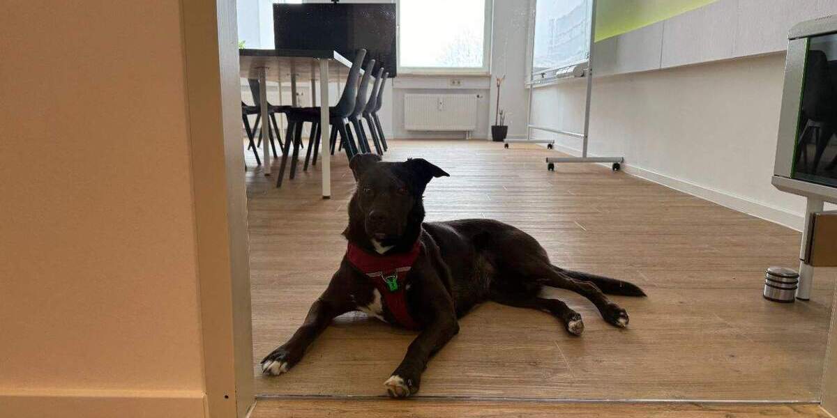 Gewerbeobjekt Garching bei München Hochbrück - 200&euro; | Angebot:25427764