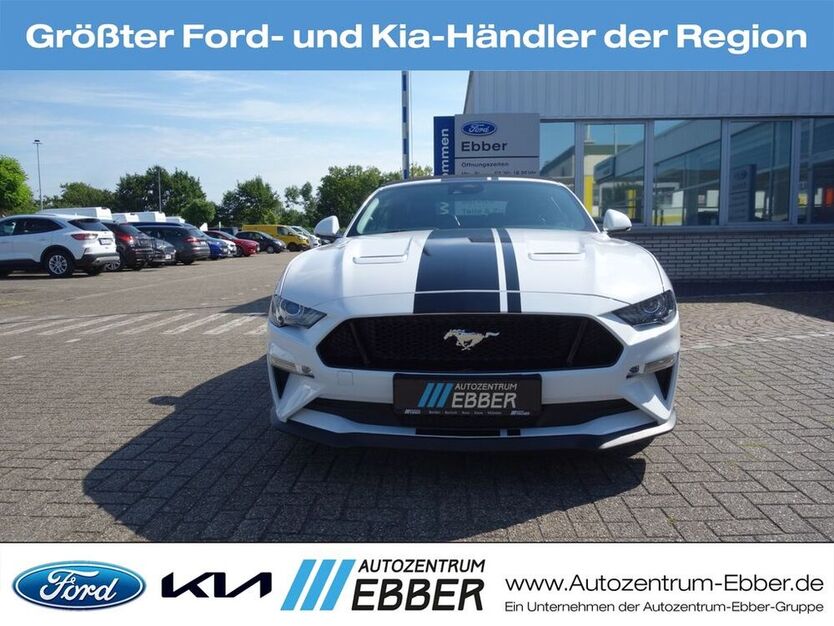 Mustang
