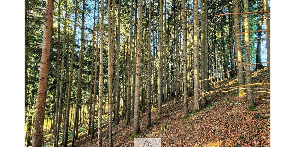 Grundstück Eggenthal Völken - 84.900&euro; | Angebot:25689866