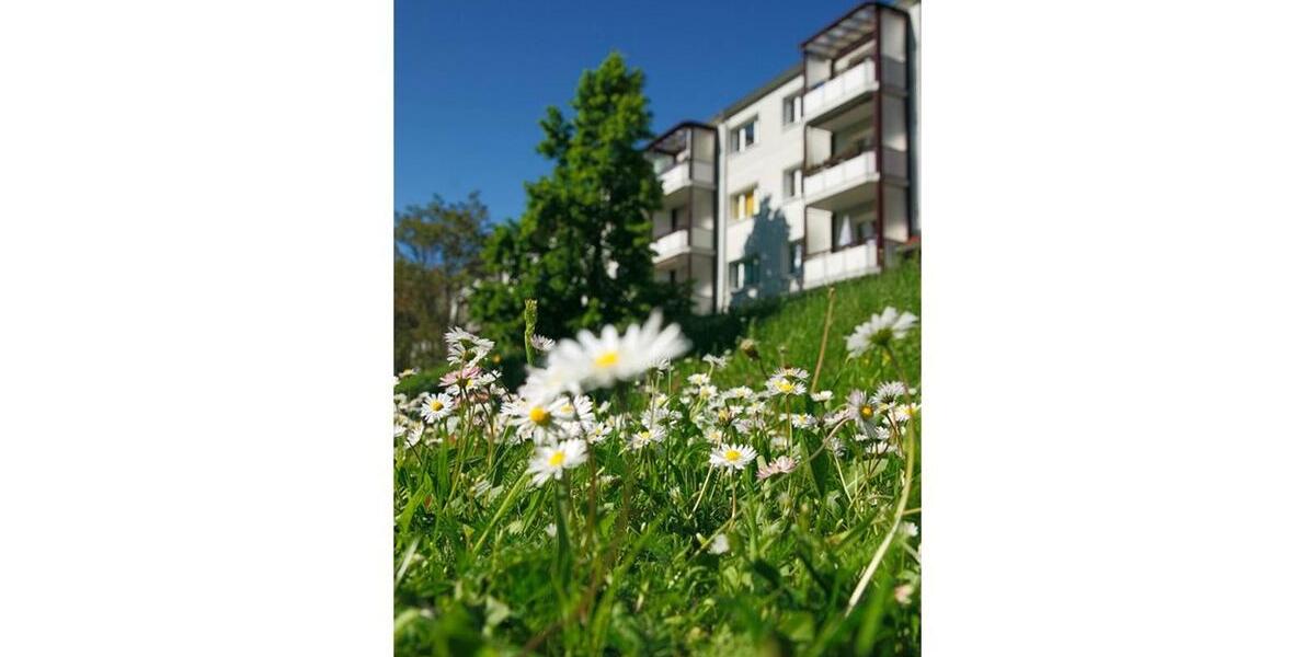 Etagenwohnung Salzwedel - 3 Zimmer, 59 m&sup2;, 395&euro; | Angebot:25361234