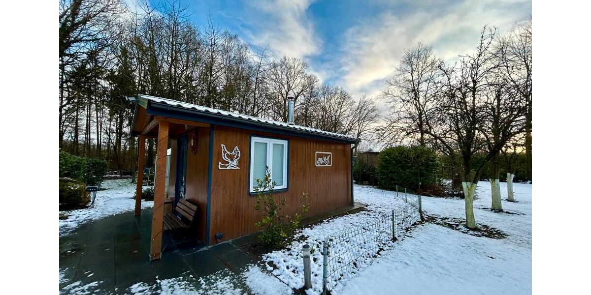 Einfamilienhaus Essen (Oldenburg) - 9 Zimmer, 437 m&sup2;, 770.000&euro; | Angebot:24374795