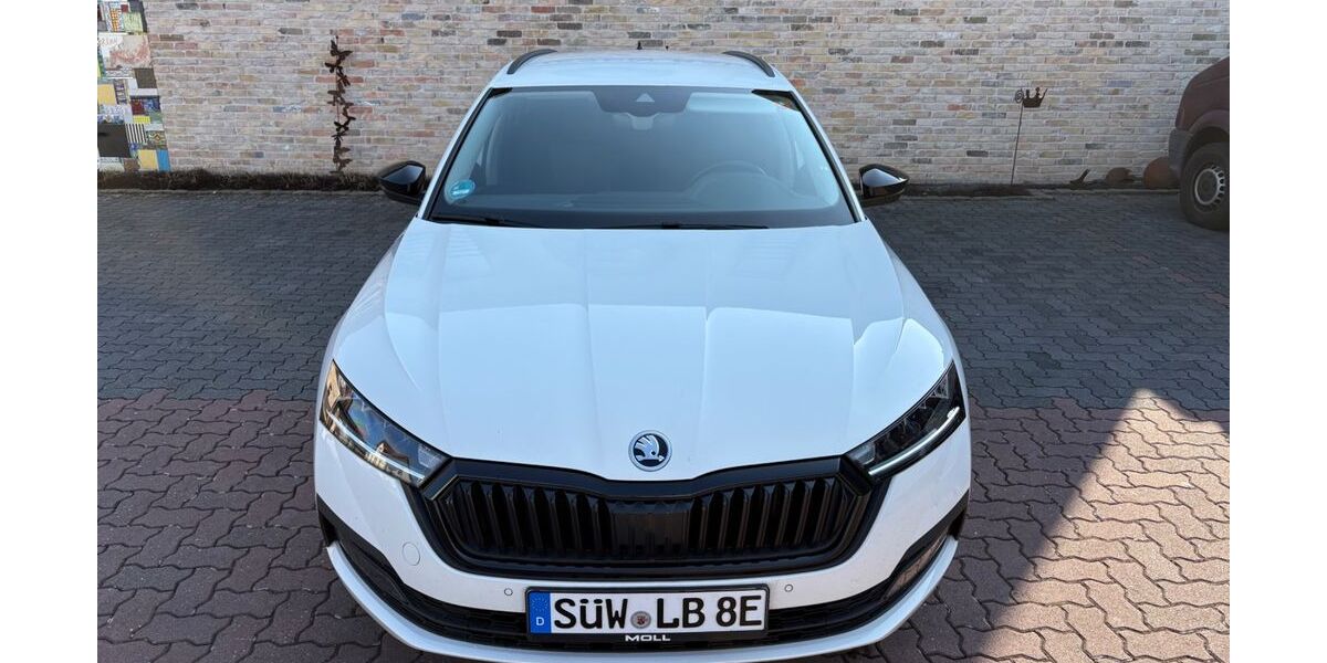 Skoda Octavia 63.000 km 18.500 &euro; Bad Bergzabern 76887