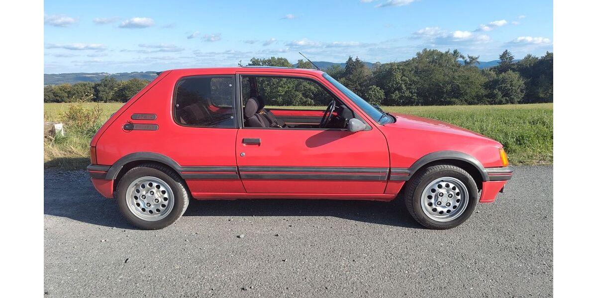 Peugeot 205 250.000 km 9.000 &euro; Egelsbach 63329