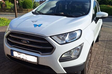 Ford EcoSport 62.000 km 12.200 &euro; Bad Bodenteich 29389